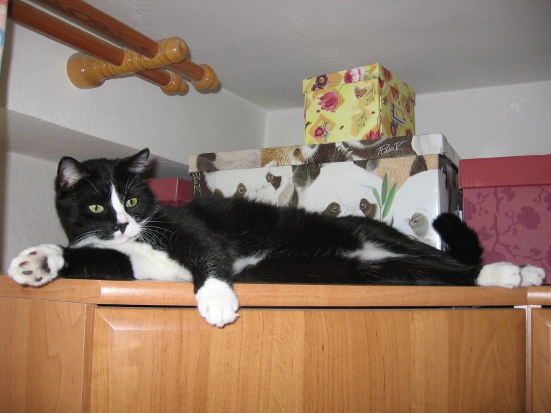 Ulubione miejsce odosobnienia